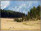 foto Lago di Calaita